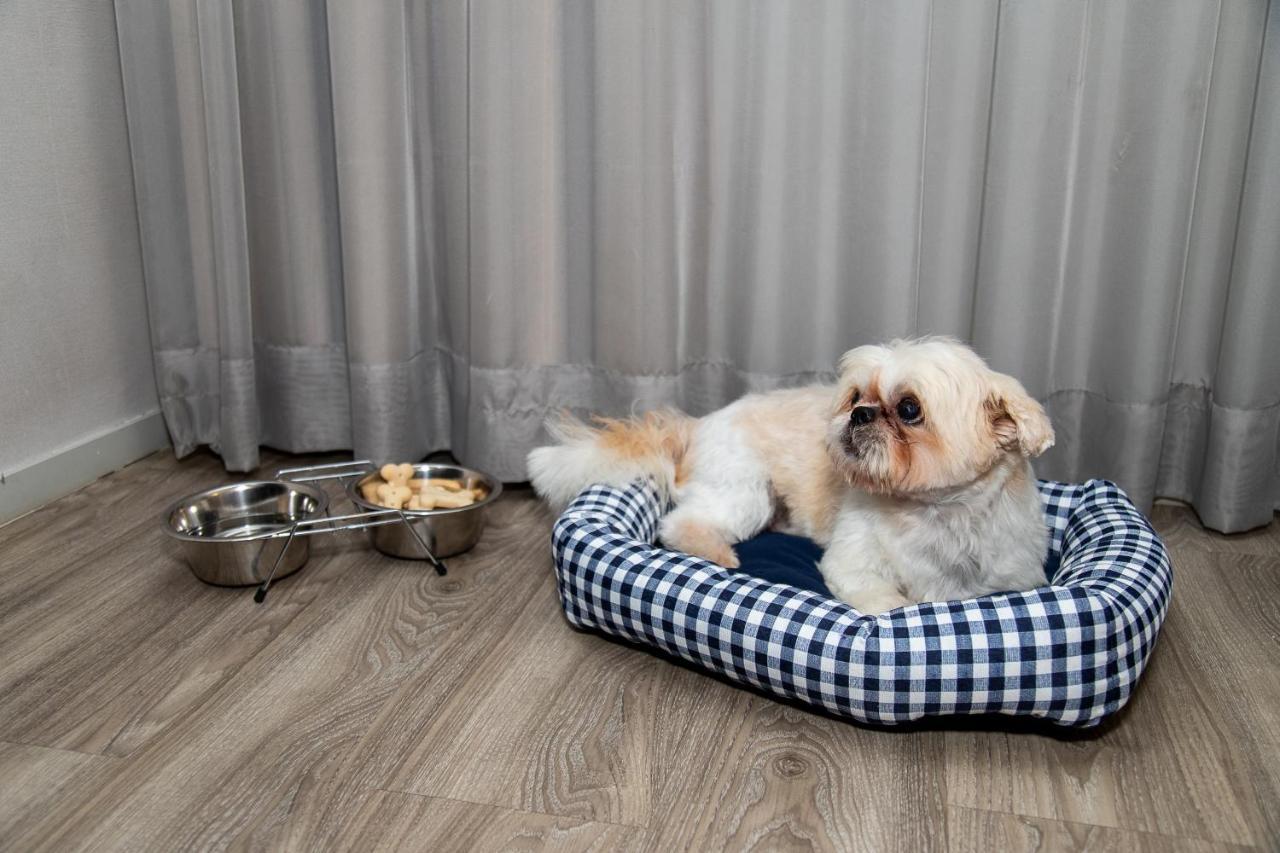 Radisson Rio De Janeiro Barra Hotel Eksteriør billede A dog in a dog bed
